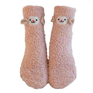 Мужские носки кораллового бархата с шариками, рождественский подарок, утолщенные носки с героями мультфильмов для сна для мужчин и женщин, Calcetines De Invierno