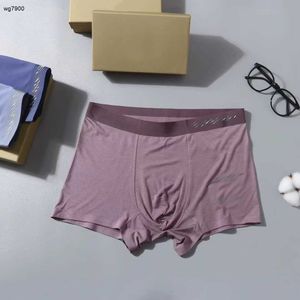 Tasarımcı Erkekler iç çamaşırı moda ve seksi logo iç çamaşırı marka ipeksi nefes alabilen iç çamaşırı erkekler giyim bir kutuda üç çift nov22