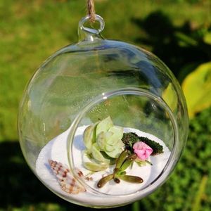 Шар в форме глобуса, прозрачная подвесная стеклянная ваза, цветочные растения, террариум, контейнер, микропейзаж, сделай сам, свадебное украшение для дома, Vases286b