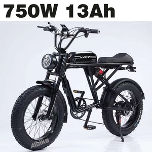 EU Stock Off-Road Electric Bike for Adults 20 Inch Snow EBike 7 Speed with 750W Motor Detachable 48V 13AH Lithium Battery