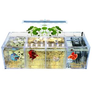 Танки Бетта Аквариум для разведения гуппи Изолирующая коробка Акриловый аквариум Прозрачный аквариум для маленьких рыбок Украшение стола