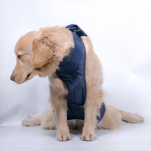 Шлейки для домашних животных, защита для старых собак, поддерживающие ремни для подъема, полезные ремни с ручкой для травмированных задних лап собак XS/S/M/L/XL