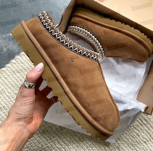 Botlar Tasman terlik tazz kestane kürk slaytlar koyun derisi shearling klasik ultra mini platform uggliss boot kış katırları kadın erkekler sw-on ayakkabı süet üst