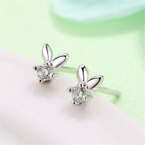 Boucles d'oreilles 2023 femmes boucle d'oreille Zircon bijoux de mode tibétain ruban drôle errings mignon Mini Petite enfant oreille goujons gratuit