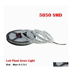 Tiras de LED sile ￠ prova d'￡gua 5m 300LEDS 5050 Plant Grow Strip Light fl Red Blue 41 5 1 Para luzes de entrega de estufa li dhej2