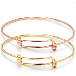 Bileklik Gül Altın Renk Moda Takı Kablolama Bilezik Ani Şans Genişletilebilir Bangles Bilezikler Diy Charm