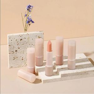 Vorratsflaschen Großhandel 12,1 mm Lippenstift Lipblam Container Lipgloss Tubes Frosted Milk Tea Jelly Color Round