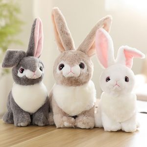 Üreticiler Toptan 3 renkli 32cm Paskalya Tavşan Peluş Oyuncak Küçük Beyaz Tavşan Doll Paskalya Bebek Çocuk Hediyesi