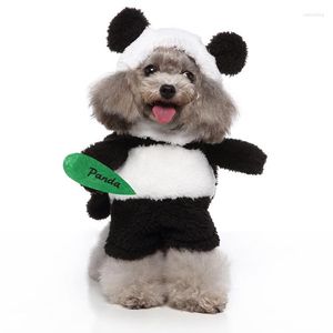 Köpek Giyim Cosplay Suit Kedi Komik Panda Paralı Killer Coon Pirate Kovboy Ayakta Kedi yavrusu küçük evcil hayvan kıyafetleri