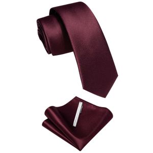 Шея галстуки Бургундский красный роскошный мужской талочный галстук карманный квадратный набор мод