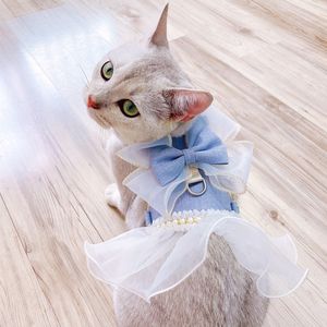 Kedi yakaları iptal eder iplik peri prusknot tasma giysileri ayarlanabilir kedicik köpek koşumu göğüs kayışı elbise naylon evcil hayvan emniyet kemeri aksesuarları 230227