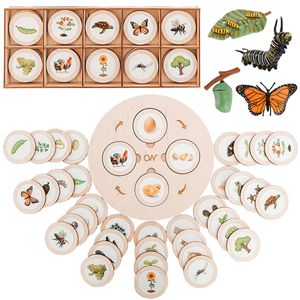 Science Discovery Life Cycle Board Montessori Kit Biology Science Education Toys For Kids Sensory Tray Animal Figure Life Cycle Sorting Wooden Toy 230227