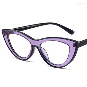 Güneş Gözlüğü Moda Anti-Blue Hafif Gözlük UNISEX CAT EY GEYGLASSES Patchwork Çerçeve Optik Gözlük Basit Gözlükler Retro Süs