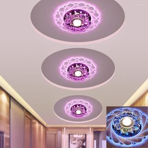 Avizeler Modern LED Işık Üstün Aydınlatma Tavanı Tesis Yatak Odası İçin Avize Lambası