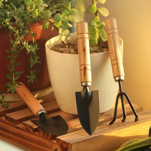 3pcs/Set Mini Garden Supplies Balcony Домашний горшечный посадка цветочные лопаты лопаты лопаты