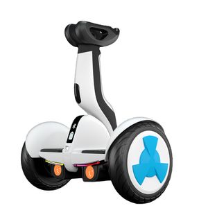China Factory Delivery 10Inch Auto balance car hoverboard Scooter Due ruote Smart LED Electric Self Balance Scooter con spray
