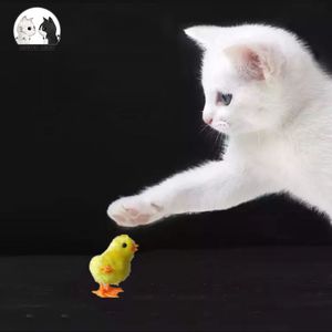 Sevimli kedi oyuncakları interaktif peluş kürk evcil hayvan oyuncak sallama hareket