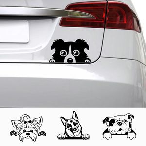 Автомобильные аксессуары наклейки на смешную собаку с названием Car Decal Dogs Dog