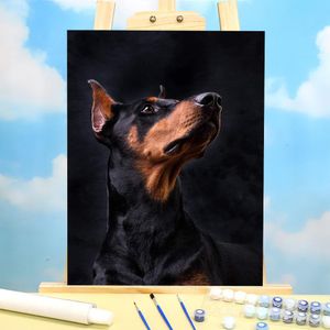 Номер животный собака Doberman раскраски по числам набор живописи акриловые краски 50*70 картинки холста.