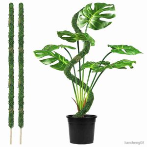 Planters Pots Plant Stakes for Indoor Climbing Plants Green Stick for Potted Plant Coir Modeling Planting R230614