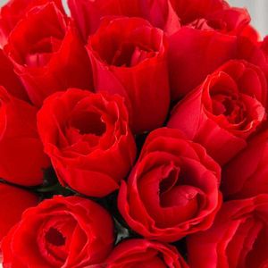 Сухоцветы 10 шт. красные шелковые розы букет для домашнего декора садовые свадебные декоративные венки поддельные растения оптом искусственные дешевые