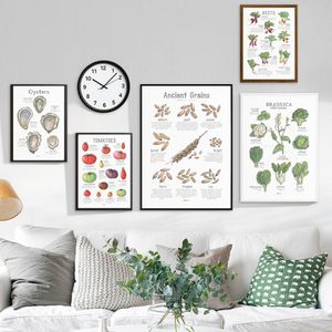 Картины свеклы Brassica oleracea Oysters Tomatoes Prints Botanical Poster Kitchen Guide Wall Art Pictures Canvas Paint
