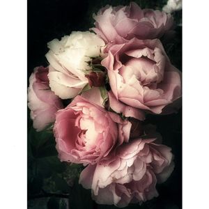 Декоративные цветы венки цветы роза Diy Cross Stitch Emelcodery 11ct Комплекты ремесло