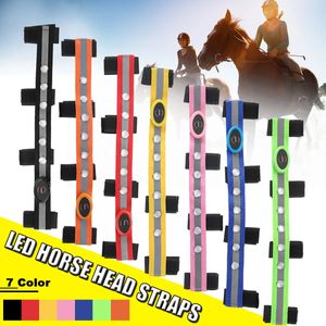 Equipamento de cuidado de cavalo LED Correias de cabeça de cavalo noturna visível Paardensport Equitação multicolorida opcional peitoral de cavalo decoração tira de equitação 231005