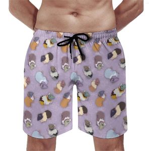 Мужские шорты, летние доски, милая морская свинка, спортивная одежда с животным принтом, пляжные Гавайские быстросохнущие плавки, большие размеры