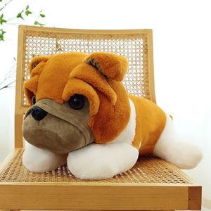 Plüschpuppen 25 cm Sehr süßer Shar Pei-Hund, gefüllte Plüschpuppe, weiches Shar Pei-Tiermodell, Schlafsofa, Kissen, Raumdekoration, Kindergeschenk, Haustierspielzeug 231013