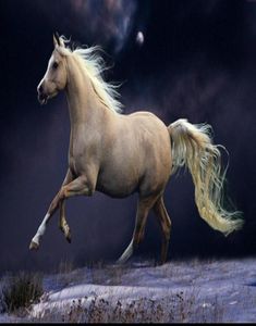 Белая лошадь в рамке, бегущая в лунном свете. Подлинная ручная роспись животных. Картина маслом на толстом холсте. Музейное качество. Мульти размер 8420012.