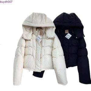 Parkas femininas de luxo jaqueta puffer mulheres inverno puff com capuz designer parka mulheres casaco com zíper quente outwear marca senhoras moda curto s-l apkl