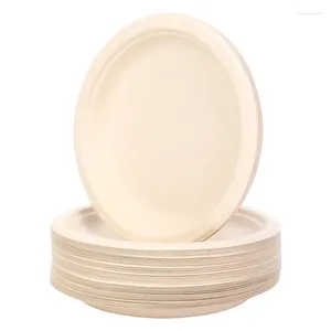 Disposable Dinnerware 100 Pack 7In Compostable Round Bagasse Paper Plates Biodegradable Sugarcane Fibre