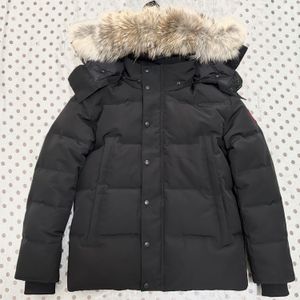 Puffer Ceketler Erkekler Tasarımcı Gerçek Çakal Kürk Açık Wyndham Windinger Jassen Dış Giyim Kapşonlu Fourrure Mantau Aşağı Ceket Hiver Parka Doudoune Kaz