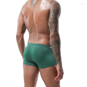 Underpants 3pcs/lot MENSSEXI 2023 High Quality Swimwear Men Swim Shorts Sexy Low Rise Gay Bulge Pouch Nylon Swimsuit Pink Trunks