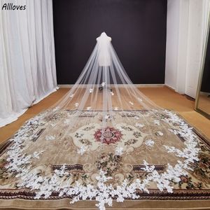 One Layer Long Lace Appliques Wedding Veil with Comb, 4 Meters Bridal Veil for Bride
