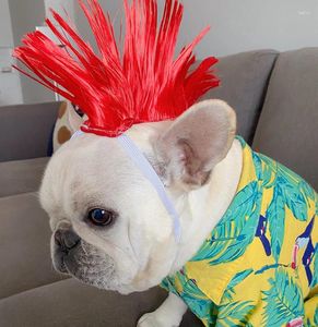 Köpek Giyim Peruk Renkli Aksesuarlar Pet 10 Tasarımlar Şu anda mevcut