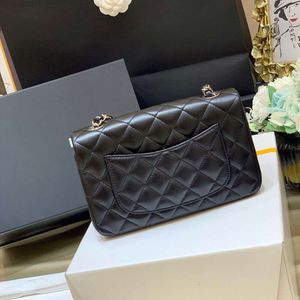 10a Top Quality Fashion Woman Shoulder Bag 20cm Sheepskin and Caviar Skin Mini Flap Bag Crossbody Bags Luxurious Designer Bagss Chain Bag with Box C002