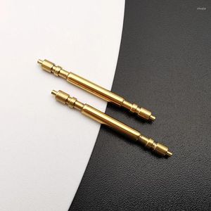 İzle Onarım Kitleri 2 PCS Gündüz tarihi için en kaliteli yay çubukları 18038 18238 18039 18239 Bilezik 19.5x1.8mm satış sonrası parçalar