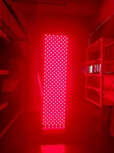 2023 newest 660nm 850nm Whole Body Infrared Light Therapy 3000W Red Light Therapy LED Therapy Panel Better Sleep Energy for Performance