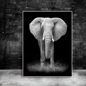Живопись диких животных черно -белые африканские слоны холст.