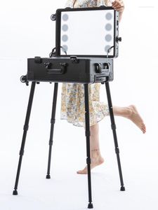 Чемоданы профессиональный макияж тщеславие с светодиодным зеркалом чемодан, прокатный троллейщик черная красавица косметическая организация ящик для инструментов для инструментов