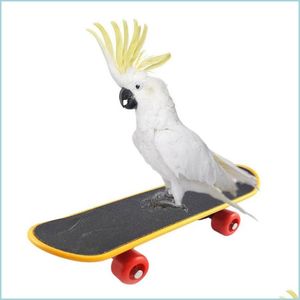 Diğer Kuş Malzemeleri Pet Kuş Oyuncakları Papağan İstihbarat Mini Kaykay Borçalar Ayakta Stand Levelli Oyuncak Eğitim Eğitimi Accessori Dhwft