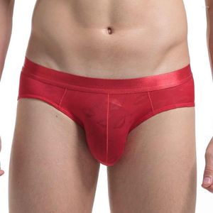 Mutande 2022 Brave Person Men Underwear For Big Penis Pouch Design Ice Silk Slip Bikini Gay Sexy