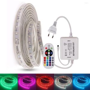 Şeritler RGB LED Strip Light AB 220V-240V Su Geçirmez 24Key uzak 60leds/m Bant Halat Ev dekorasyonu için