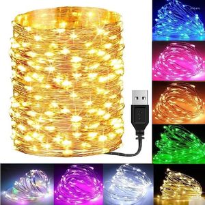 Dizeler 10m Light String Noel LED LED RENK LAMP USB Bakır Çiçek Ambalaj Dekorasyonları