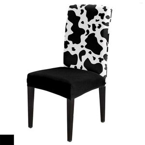 Chaves de cadeira Textura de vaca Capa de jantar preto branco 4/6/8pcs Spandex elástico capa para casamentos El Banquet Room