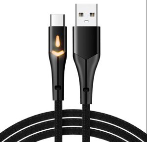 2a Quick Charge Led Светодиодные кабели тип C Micro Brained USB -кабели 1M 3 -футовый тканевый кабель для Samsung S10 S20 S21 Примечание 21 HTC Android Phone ПК
