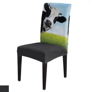 Sandalye, otlak gökyüzü inekleri kapak spandeks kapağı ofis ziyafet koruyucusu yemek odası için streç