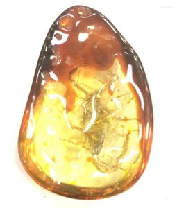 Kolye Kolye Sertifikası Doğal Meksika Amber Balmumu Scorpion 42 64 16mm